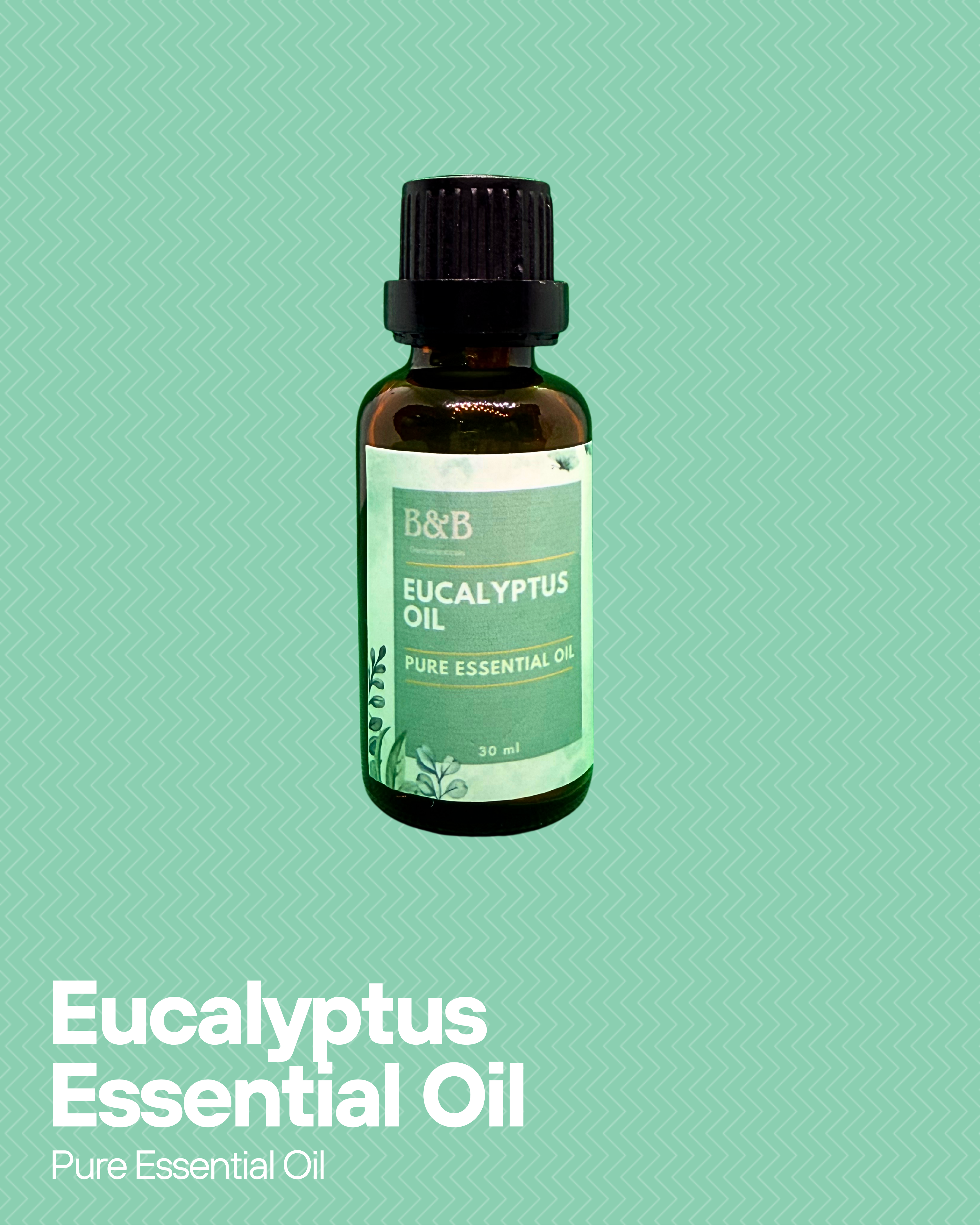 Eucalyptus Essential Oil at Best Price in Pakistan