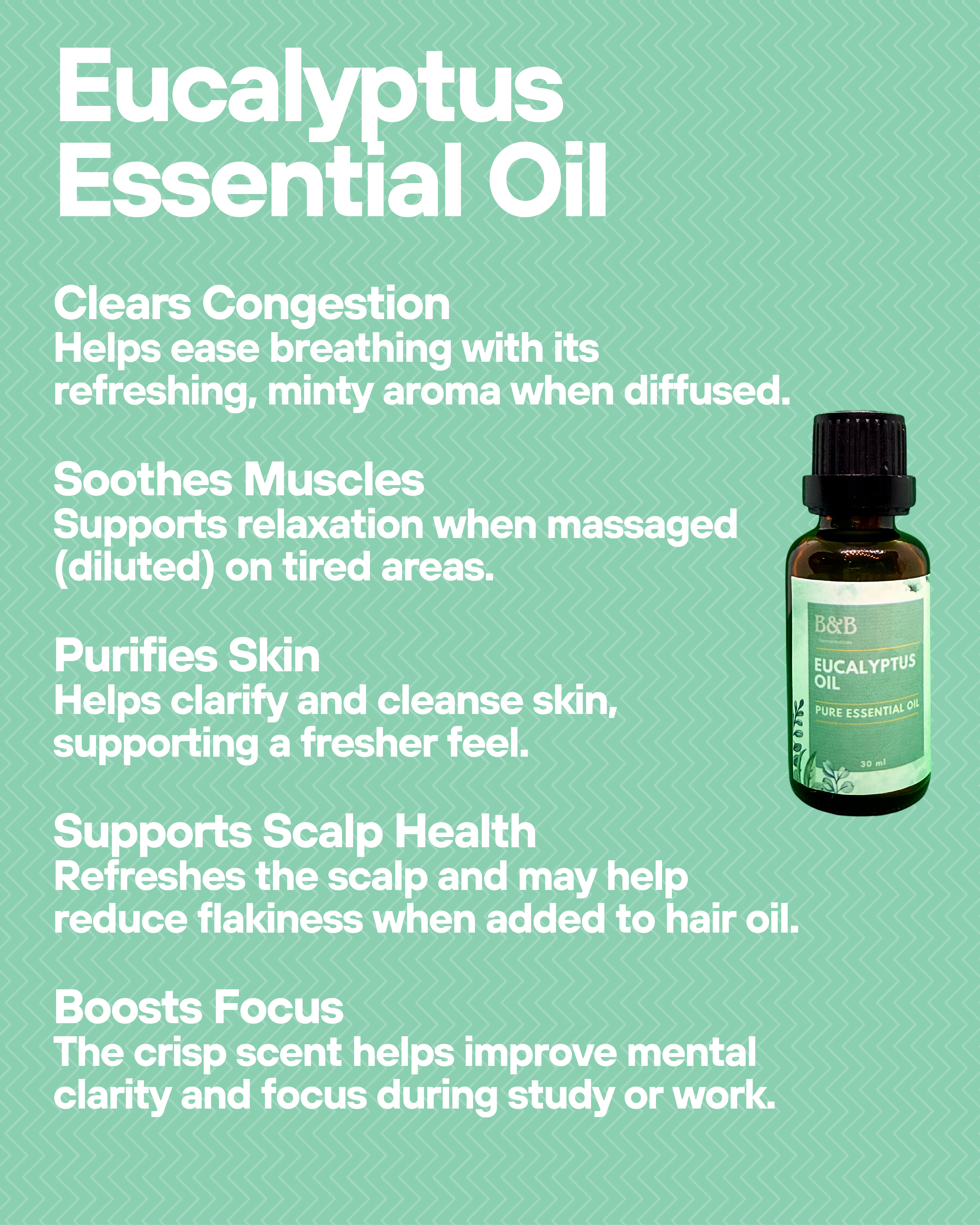 Eucalyptus Essential Oil at Best Price in Pakistan
