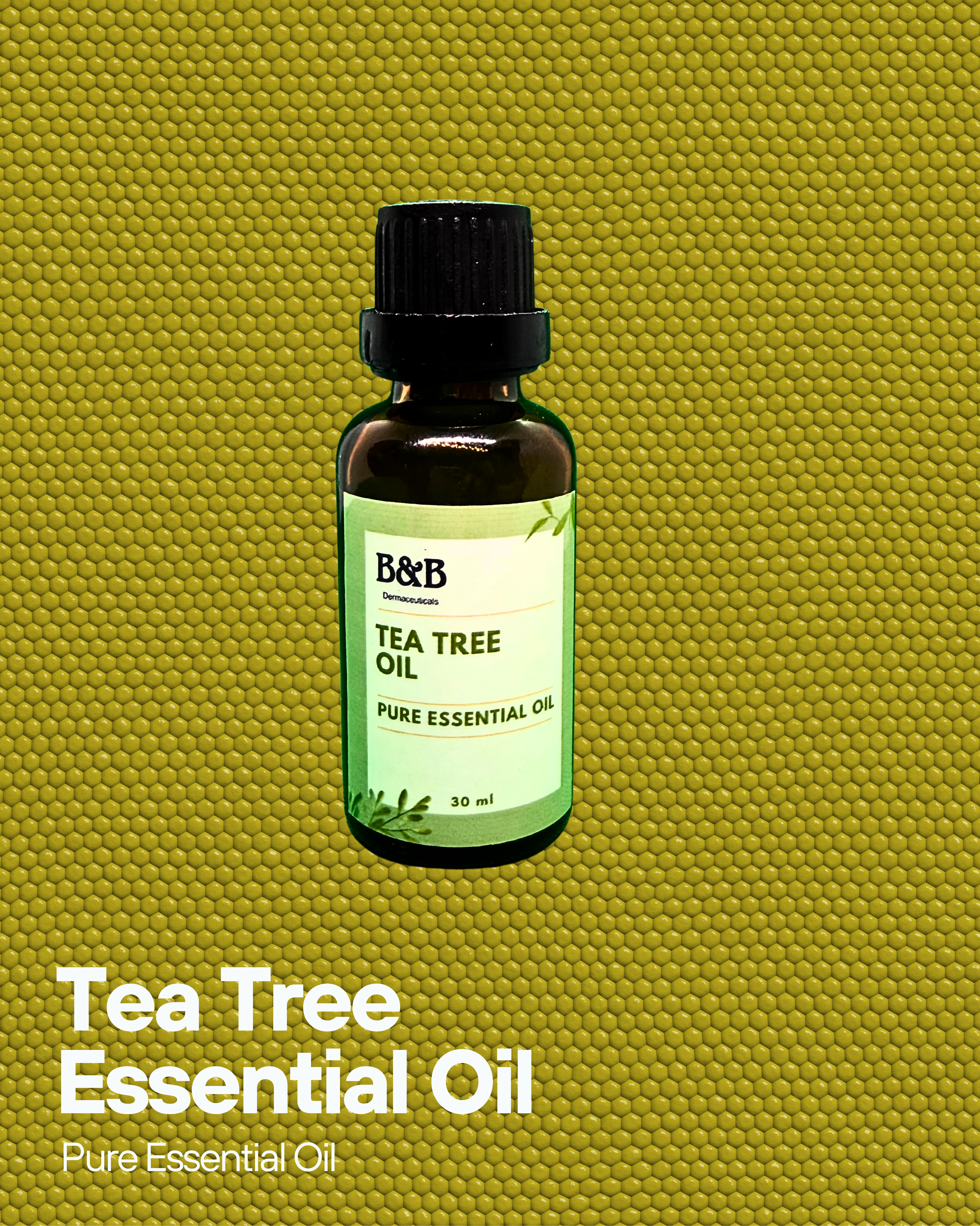 Tea Tree Oil at the Best Price in Pakistan