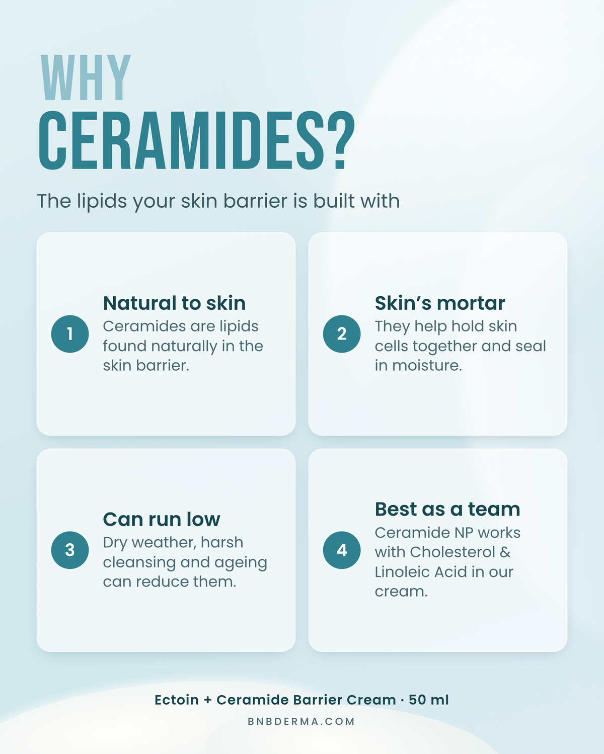 Ectoin + Ceramide Barrier Cream
