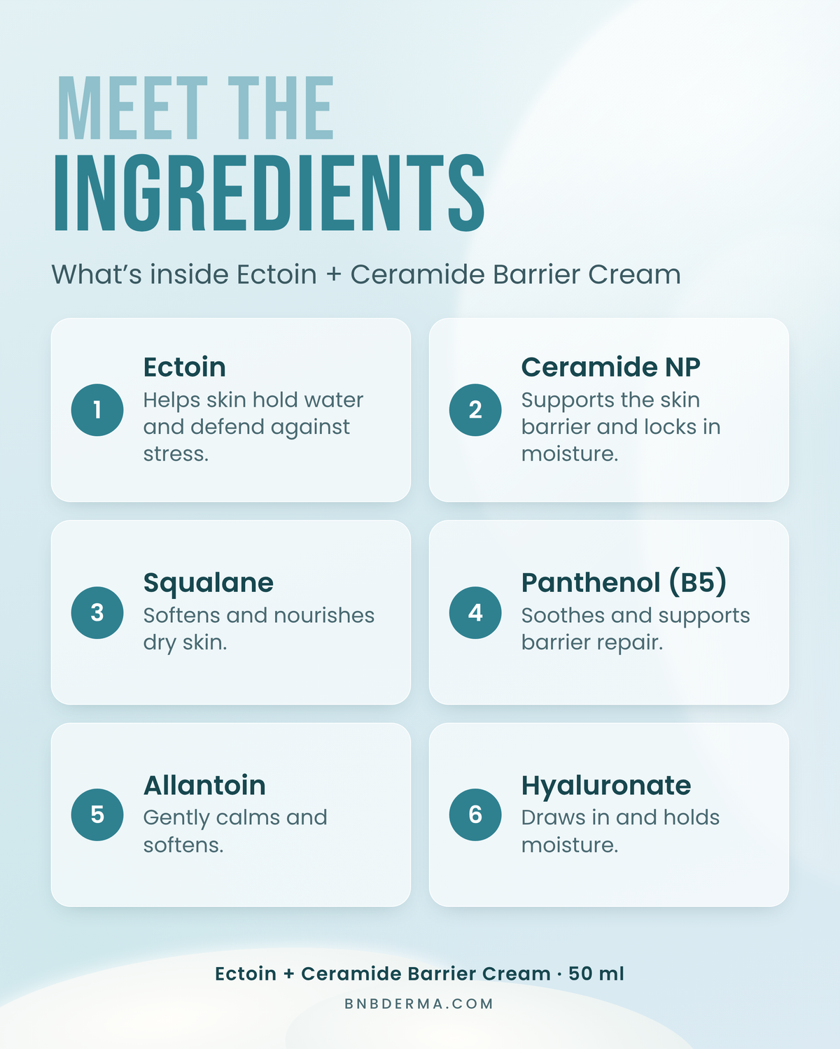 Ectoin + Ceramide Barrier Cream